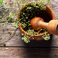 Mestrado em Ciências Naturopáticas