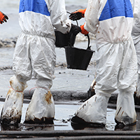 Mestrado em Gestão e Auditorias Ambientais com Especialização em Poluição Marinha