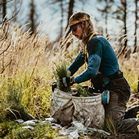 Mestrado em Gestão e Auditorias Ambientais com Especialização em Gestão e Conservação de Espaços Naturais
