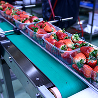 Mestrado em Engenharia Industrial com Especialização em Agroindústria